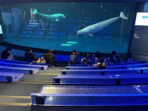 基本生活の習慣づけ